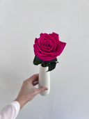 The Classic Rose – Fuchsia Pink Long Stem Preserved Rose in Ceramic Bud Vase – Classic