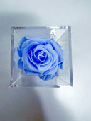 The Crystal Rose – Single Eternity Rose in Acrylic – Crystal Blue – Classic