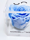 Close view of the blue Crystal Rose in its branded acrylic box