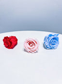 Red, pink and blue preserved Crystal Roses shown side by side
