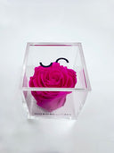 The Crystal Rose – Single Eternity Rose in Acrylic – Fuchsia Pink – Classic