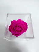The Crystal Rose – Single Eternity Rose in Acrylic – Fuchsia Pink – Classic