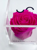 Close view of the fuchsia Crystal Rose in its branded acrylic box