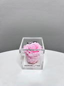 The Crystal Rose – Single Eternity Rose in Acrylic – Taffy Pink – Classic