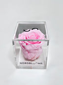 Taffy pink preserved rose in its branded Nordblooms acrylic box