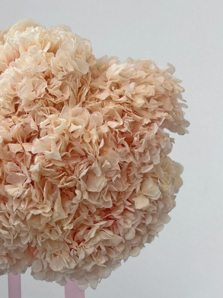 Zoomed product image