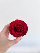 The Mini Belle Rose – Classic Red Preserved Rose in Mini Ceramic Vase – Classic