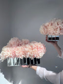 The Mirror Hydrangea – Duo Set – Peachy Cashmere Preserved Hydrangeas in Mirrored Vases– Luxe