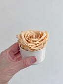 The Mini Supreme Rose – Peach Preserved Rose in Mini Ceramic Vase – Classic