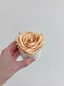 The Mini Supreme Rose – Peach Preserved Rose in Mini Ceramic Vase – Classic