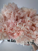 Close-up of soft peach preserved hydrangea above the mirrored vase