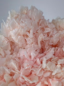 Close-up of blush peach preserved hydrangea petals