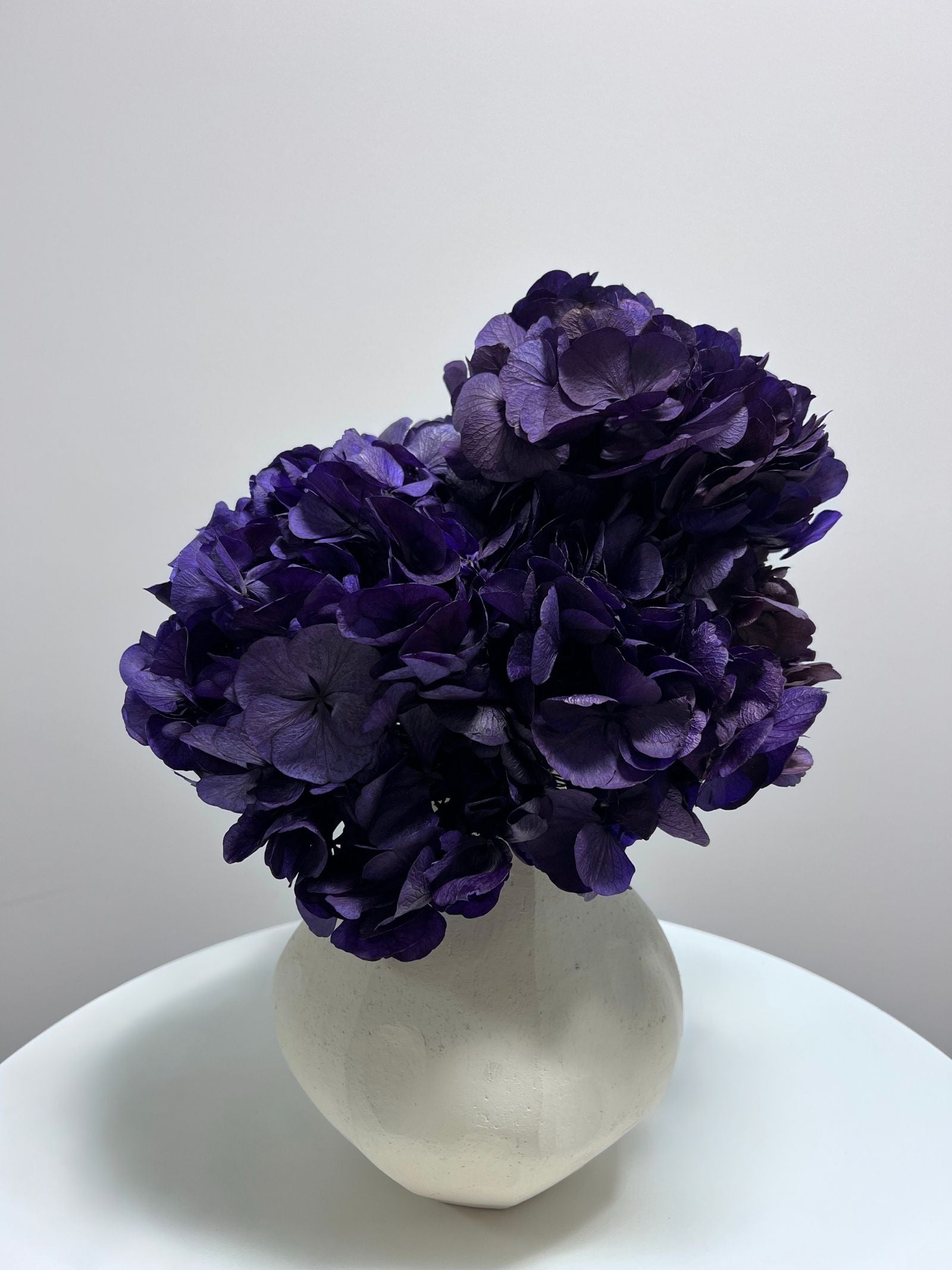 Cassia β Indigo Purple Preserved Hydrangea Arrangement in Short White Earthenware Vase β Luxe