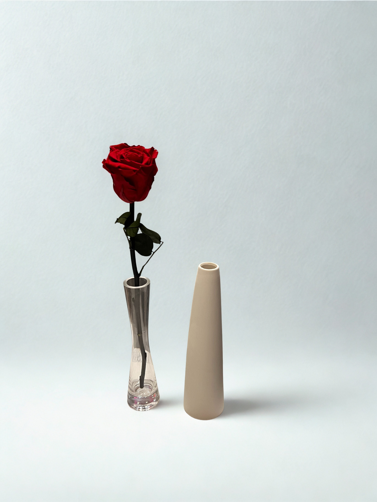 VALENTINE’S ROSE – RED PRESERVED LONG STEM IN GLASS BUD VASE