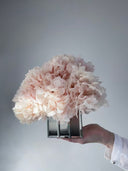The Mirror Hydrangea – Small – Peachy Cashmere Preserved Hydrangea in Mirrored Vase – Luxe