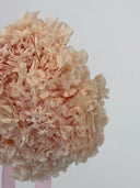 Close-up of soft peach preserved hydrangea petals in the Cashmere bouquet