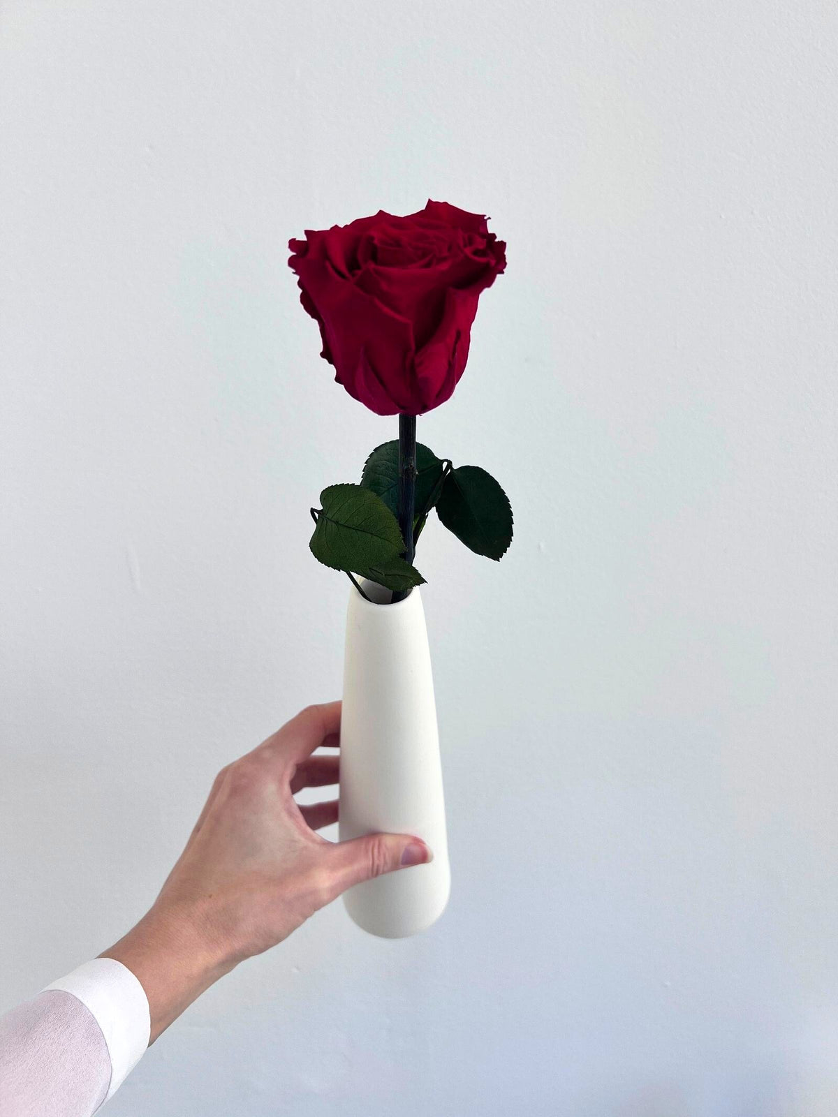 The Classic Rose – Burgundy Red Long Stem Preserved Rose in Ceramic Bud Vase – Classic