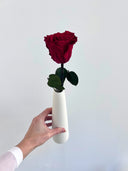 The Classic Rose – Burgundy Red Long Stem Preserved Rose in Ceramic Bud Vase – Classic