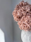Celeste – Oyster Pink Small Petal Preserved Hydrangea Arrangement in Modern Textured Vase – Luxe