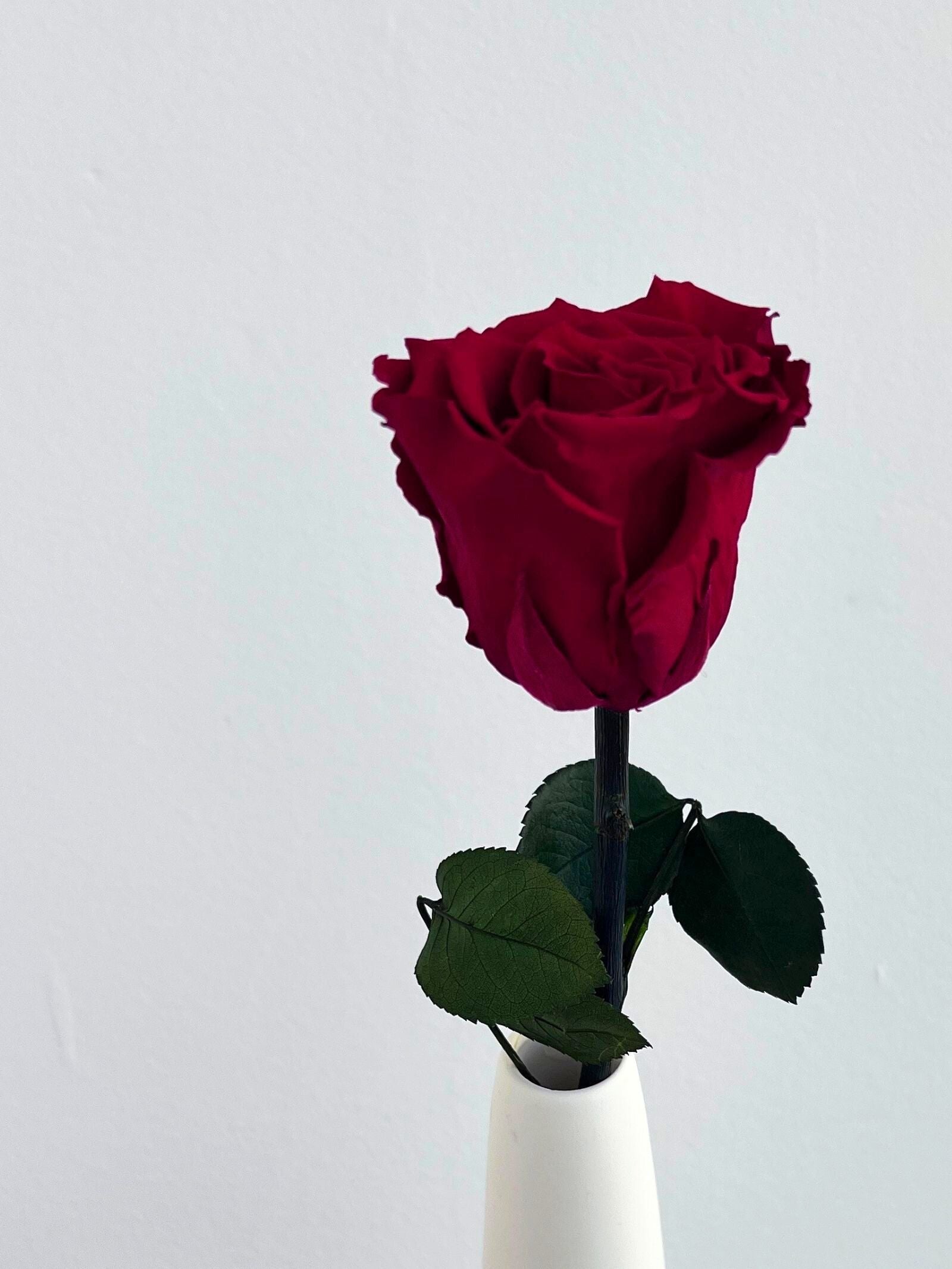 Zoomed product image