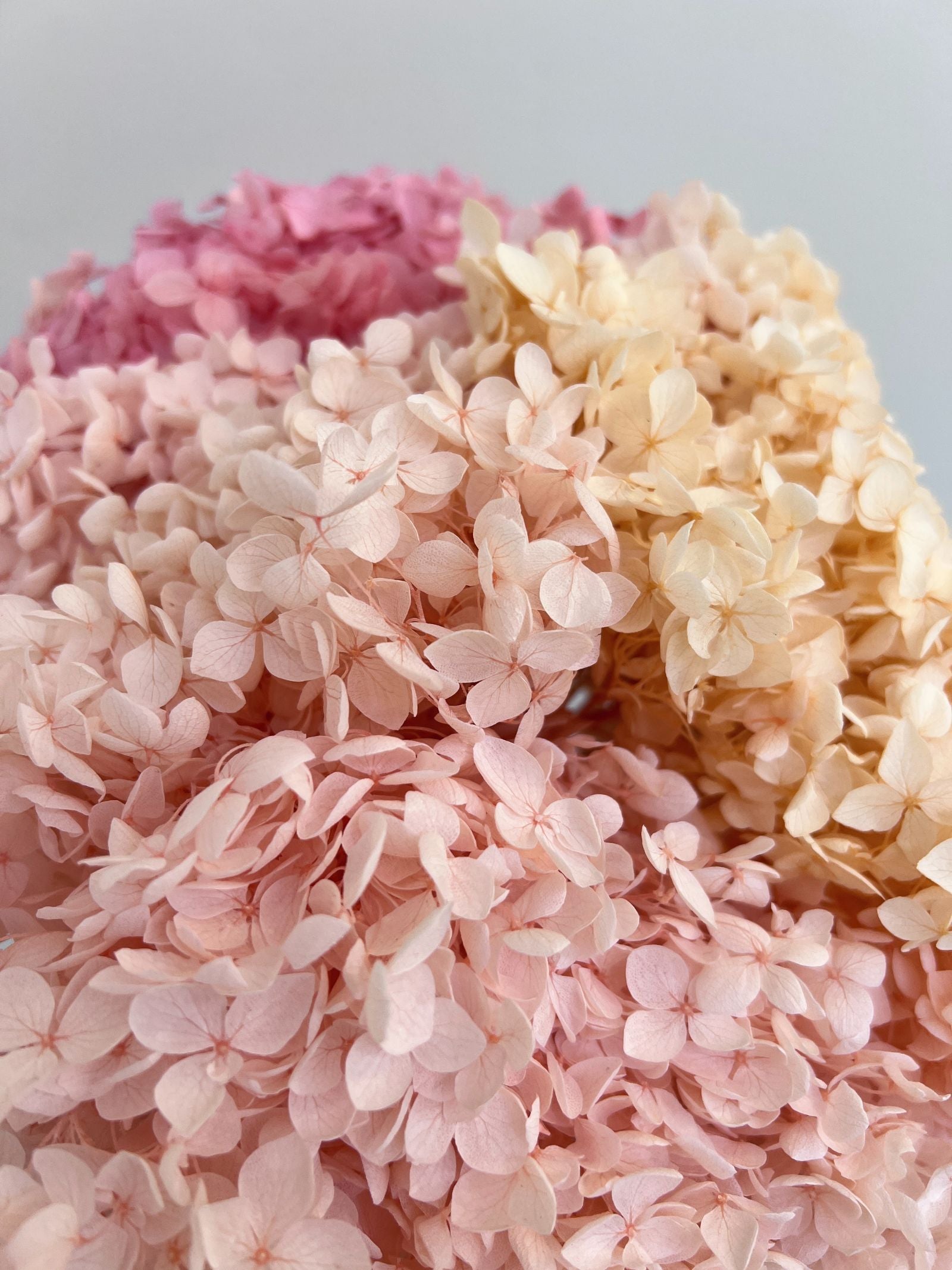 Zoomed product image
