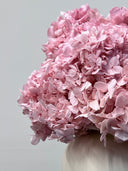 Close-up of large petal pink preserved hydrangea in the Isla arrangement