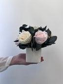 Naomi – Cream and Blush Preserved Rose Arrangement in White Ceramic Vase – Signature