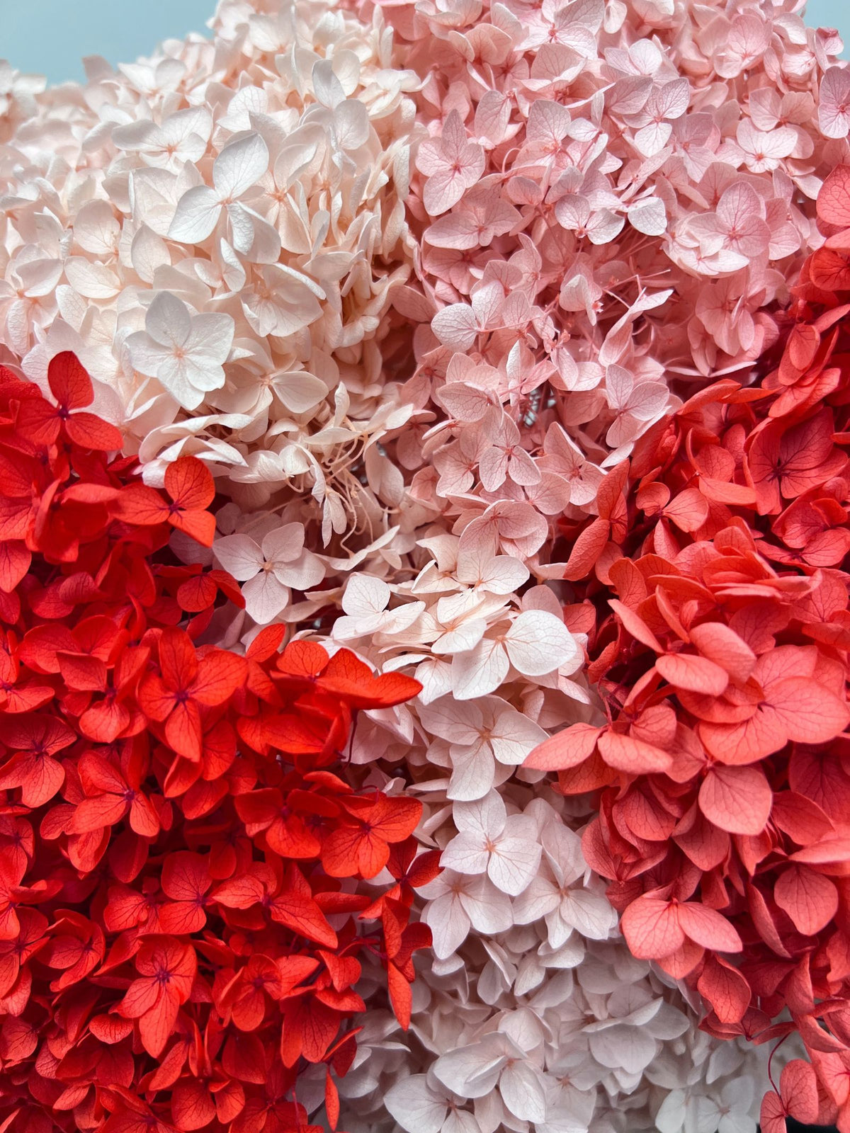 Pink Parfait – Pink & Red Preserved Hydrangea Bouquet – Signature