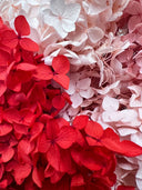 Detail of the red and pink hydrangea colour blocks in the Pink Parfait bouquet
