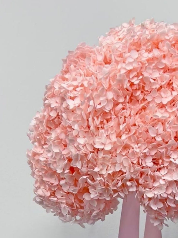 Zoomed product image