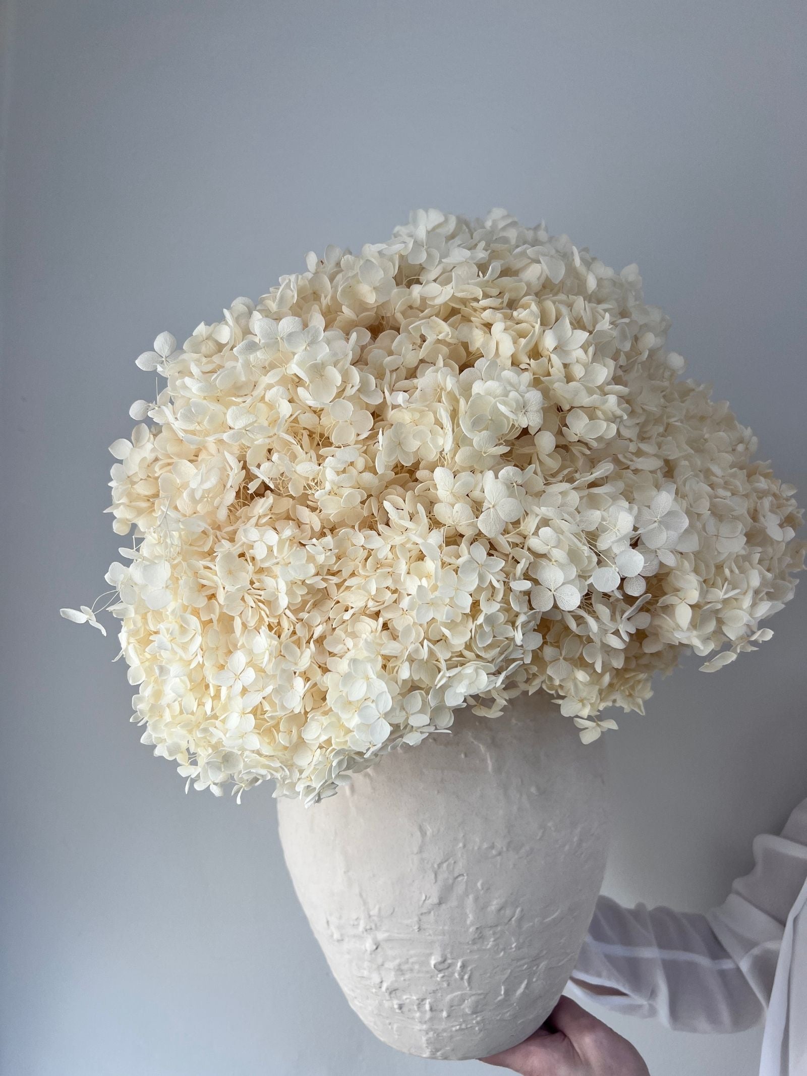 Ophelia β Cream White Preserved Hydrangea Arrangement in Deluxe White Earthenware Vase β Luxe