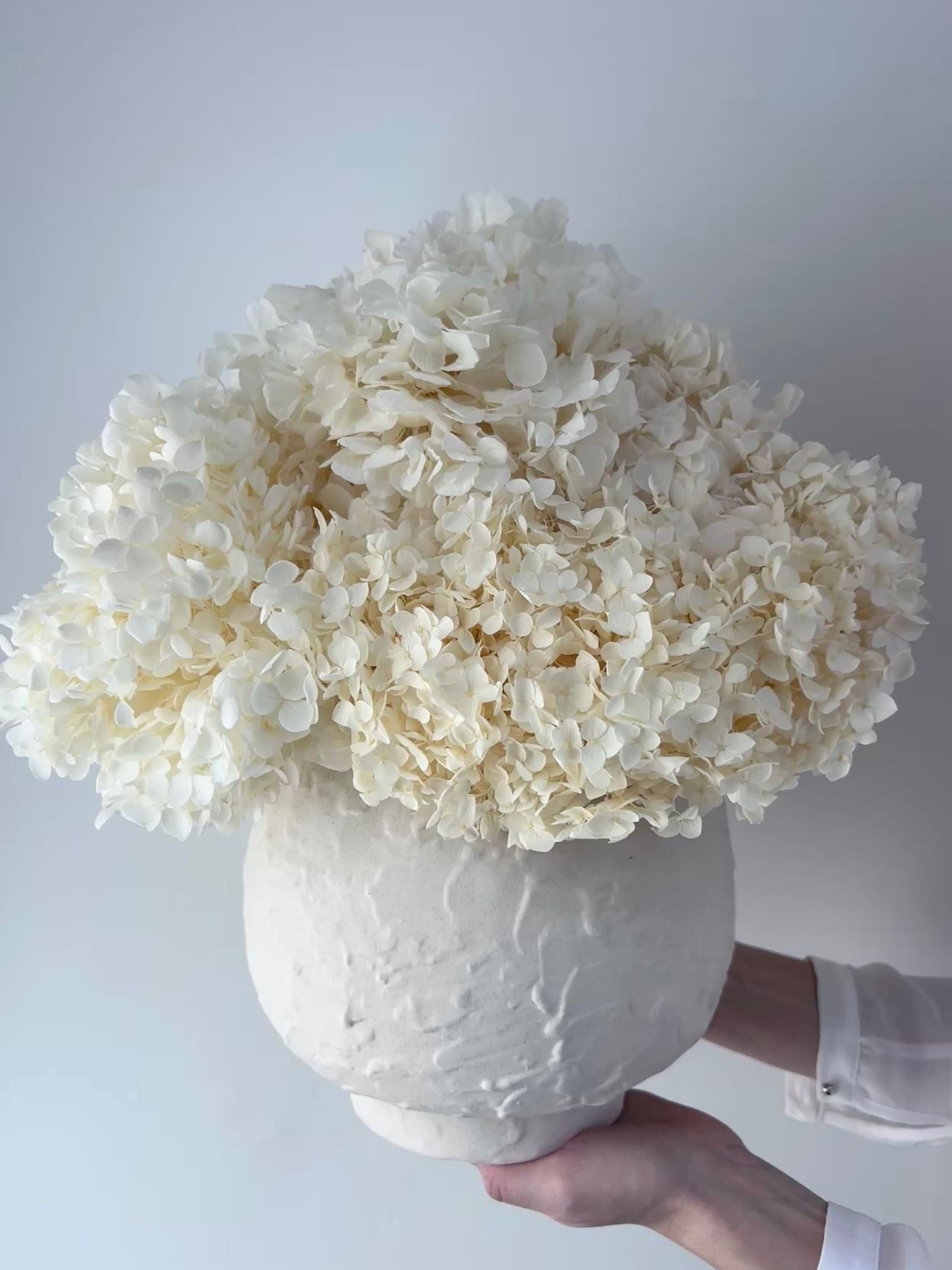Ophelia – Cream White Preserved Hydrangea Arrangement in Large White Earthenware Vase – Luxe