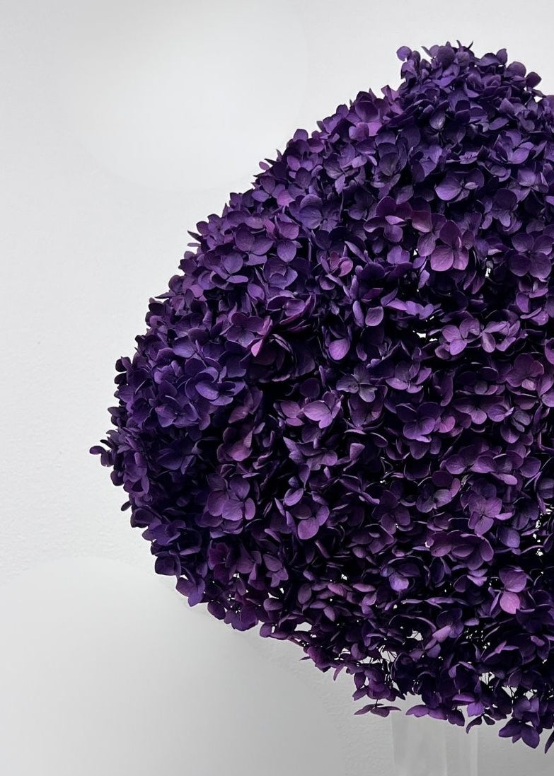 Zoomed product image