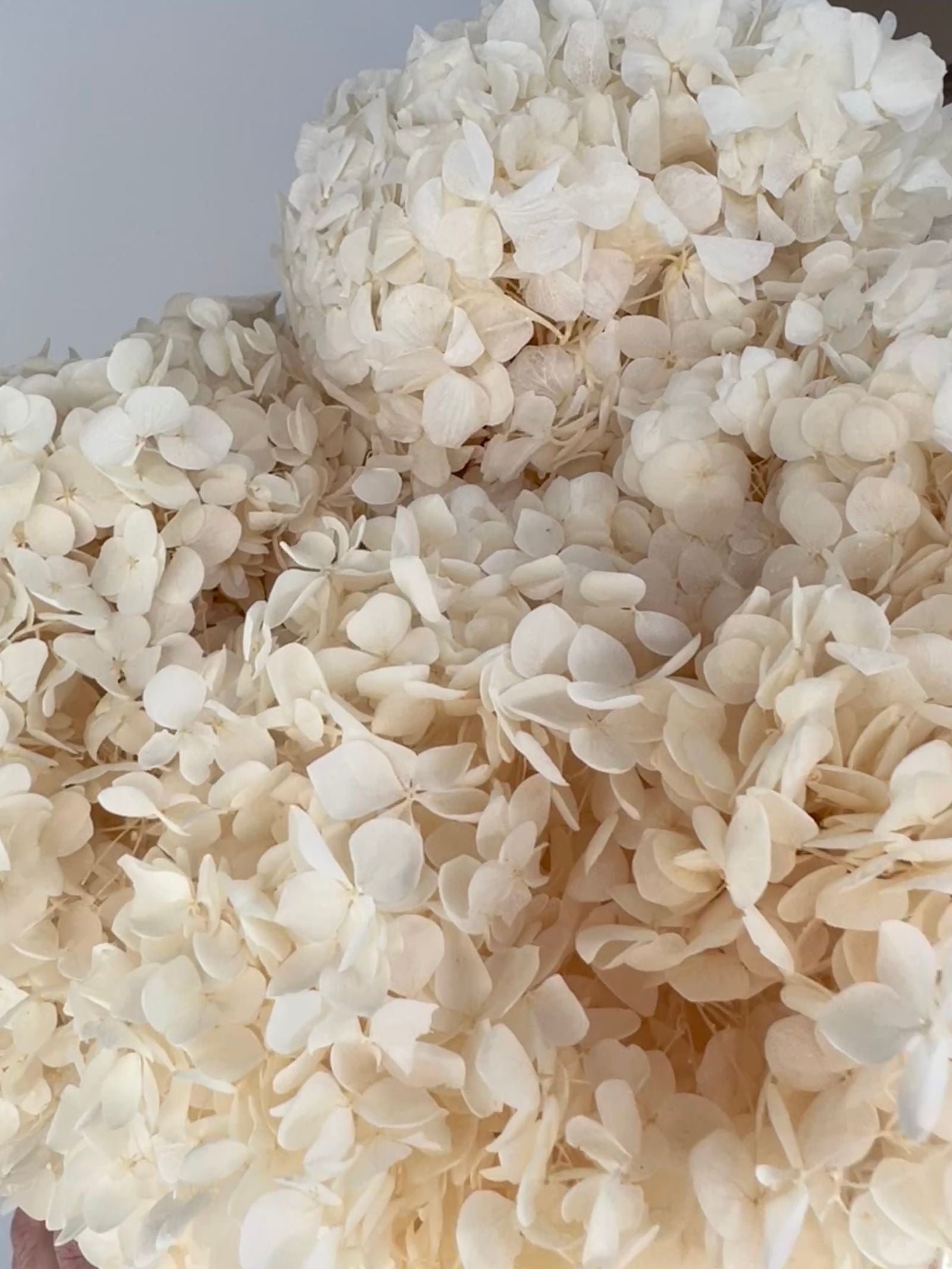 Zoomed product image