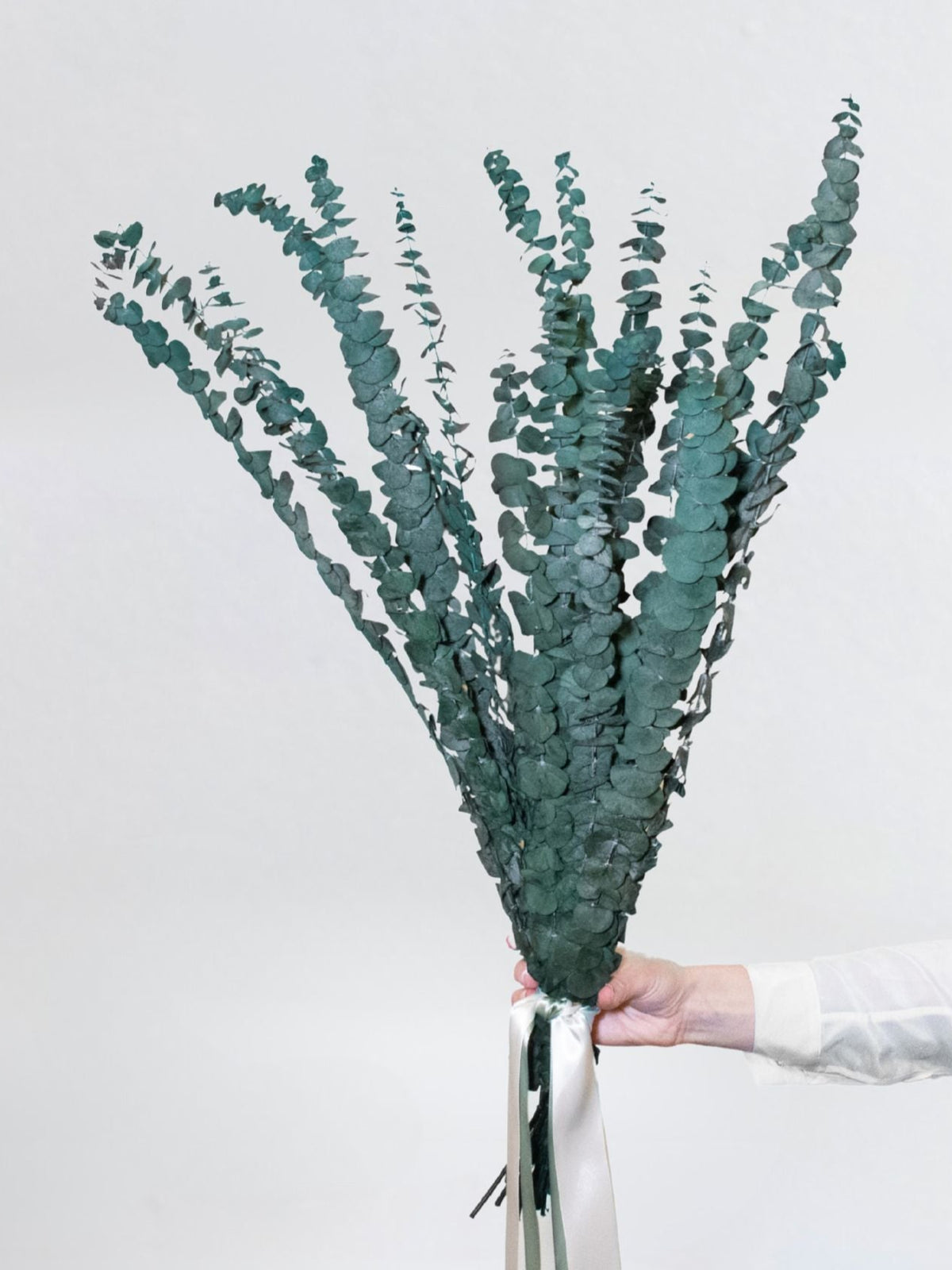 Alfie – Preserved Eucalyptus Greenery Bunch – Classic