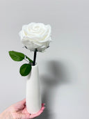 The Classic Supreme Rose – Crisp White Long Stem Preserved Rose in Ceramic Bud Vase – Classic