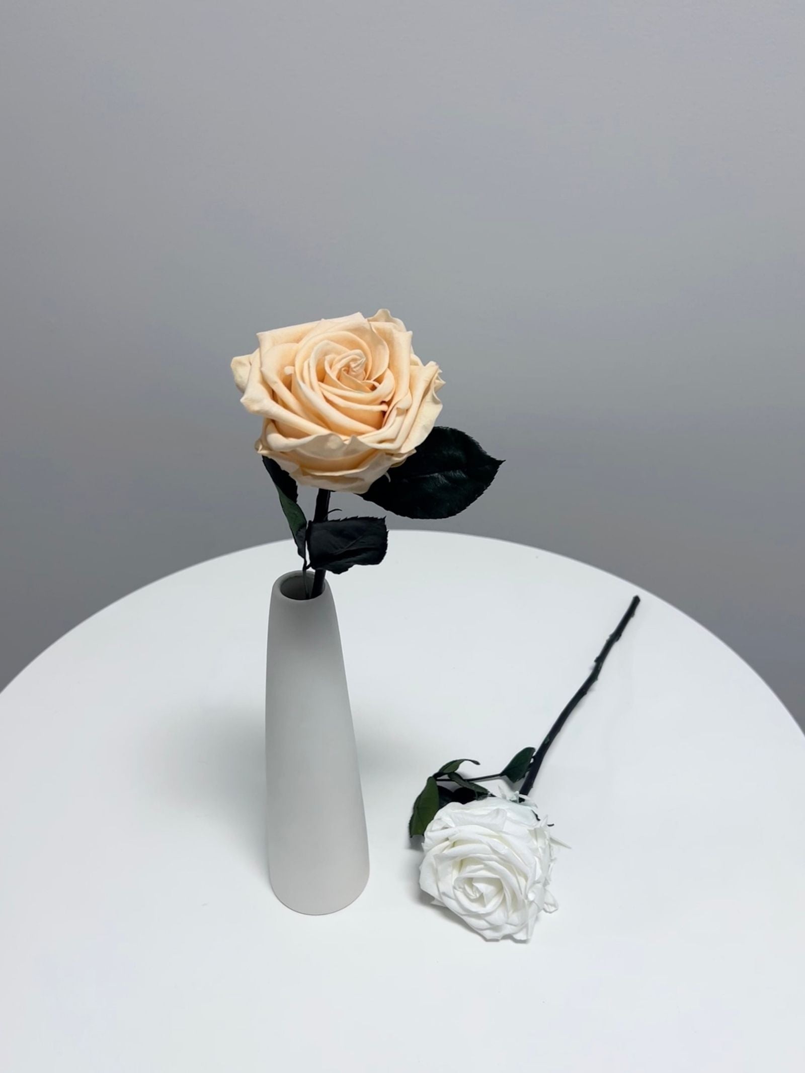 The Classic Supreme Rose β Crisp White Long Stem Preserved Rose in Ceramic Bud Vase β Classic