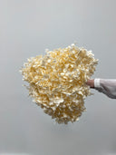 Single Preserved Hydrangea Stem – Ivory – Small Petals – Classic