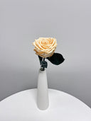 The Classic Supreme Rose – Peach Long Stem Preserved Rose in Ceramic Bud Vase – Classic