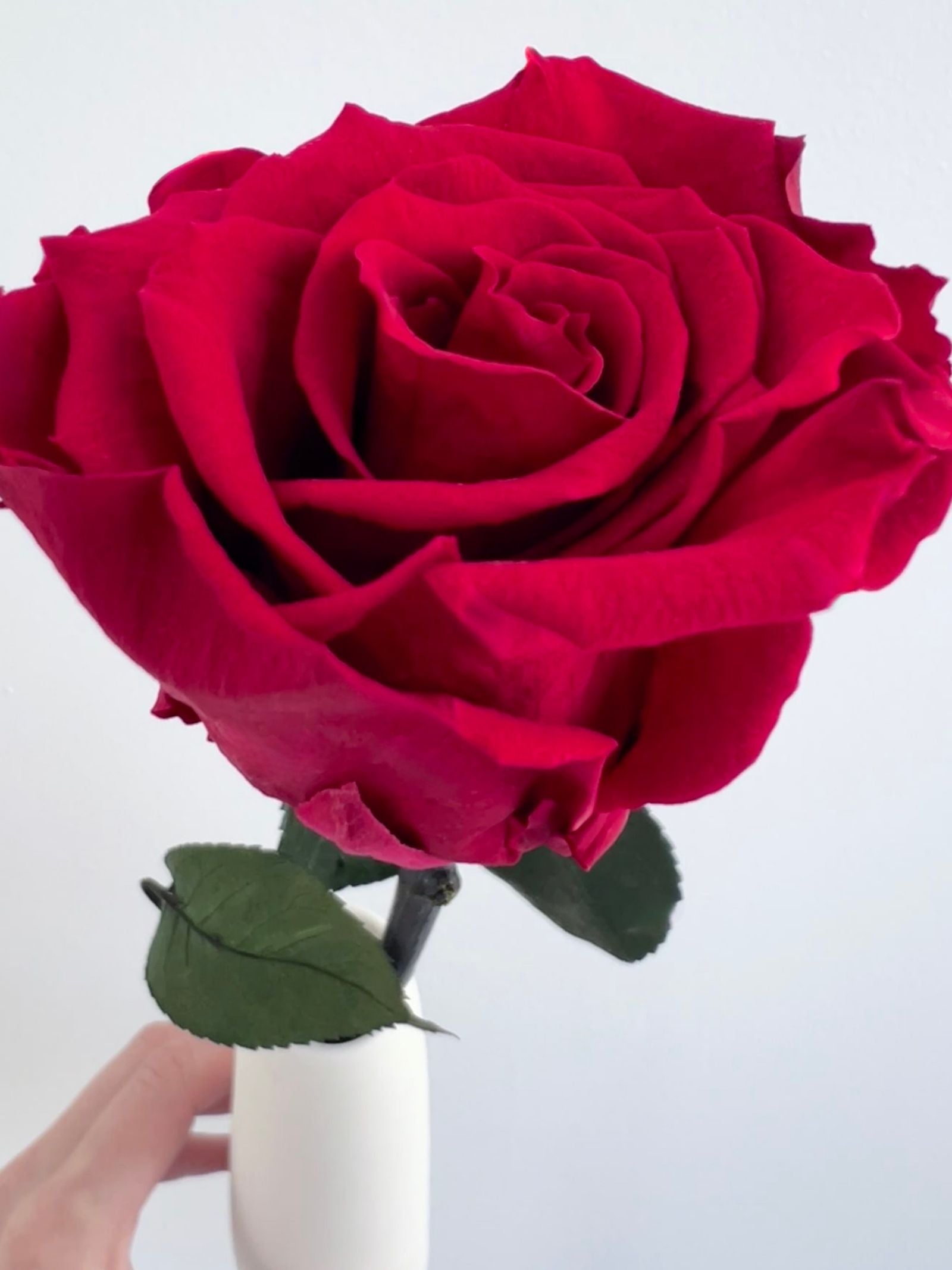 Zoomed product image