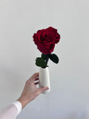 The Classic Belle Rose – Red Long Stem Preserved Rose in Ceramic Bud Vase – Classic
