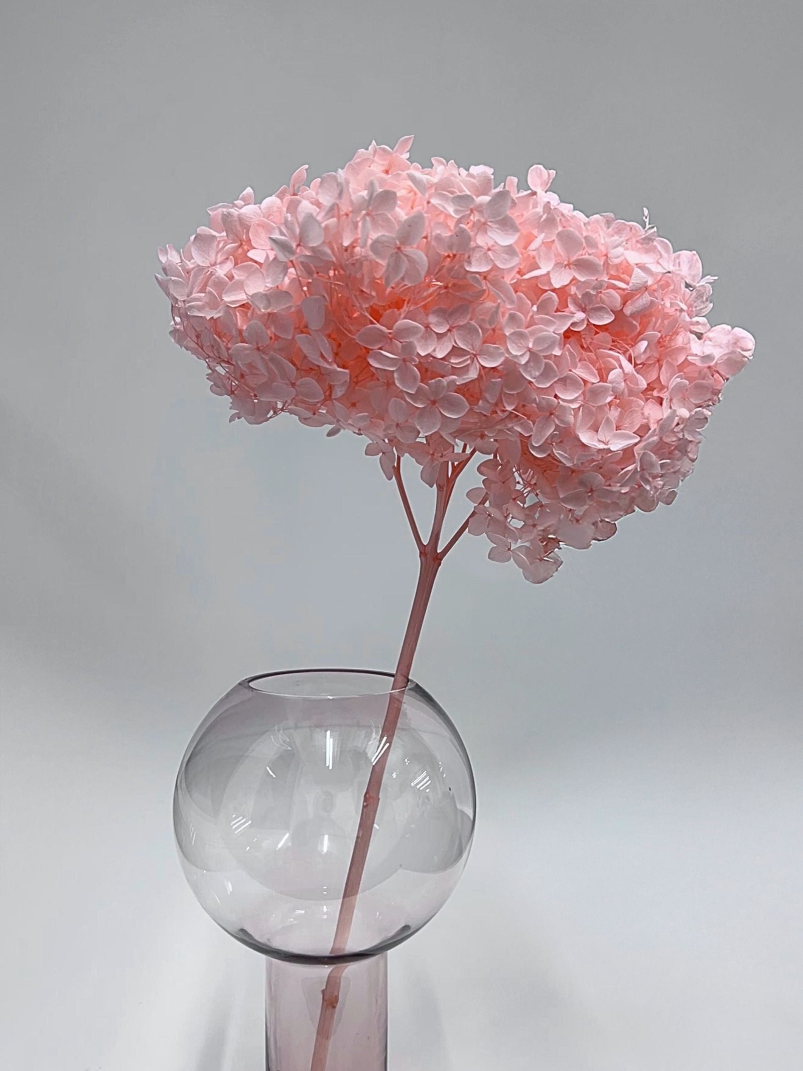 Zoomed product image