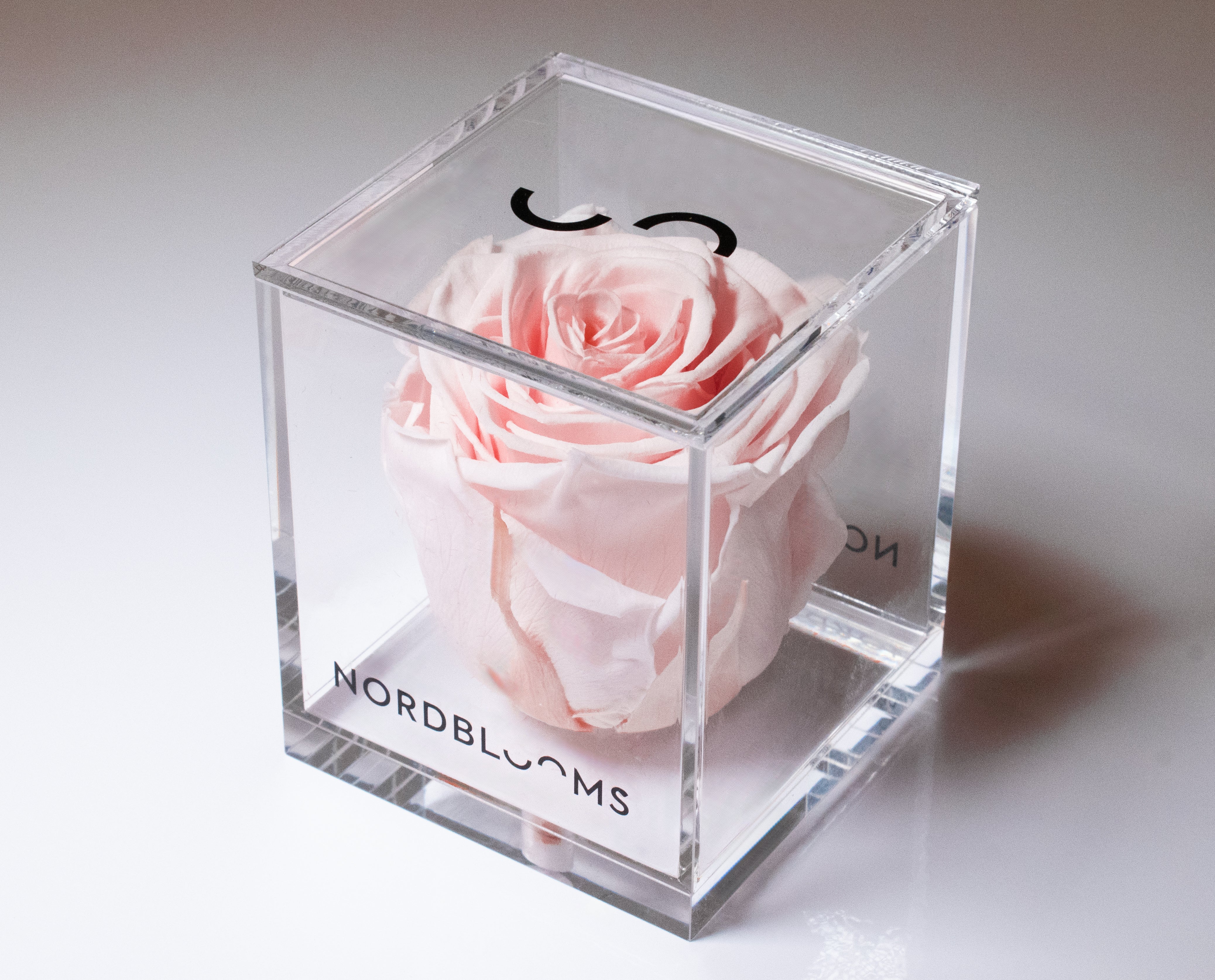 The Crystal Rose β Single Eternity Rose in Acrylic β Powder Pink β Classic