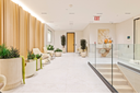 <h2>Planters <em>&</em> Trees, Built for the Space</h2>