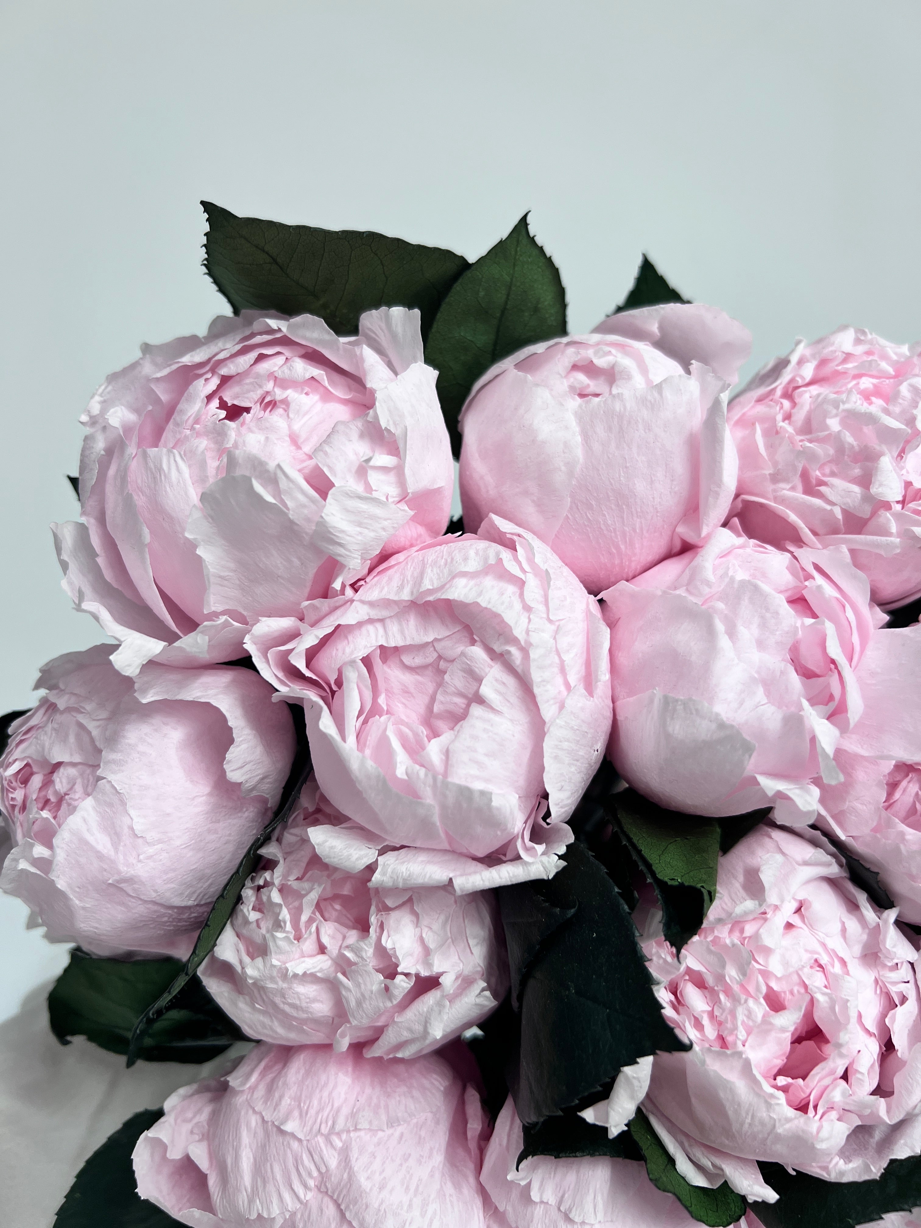 Eternelle – Grand Luxurious Preserved Peony Bouquet - Luxe