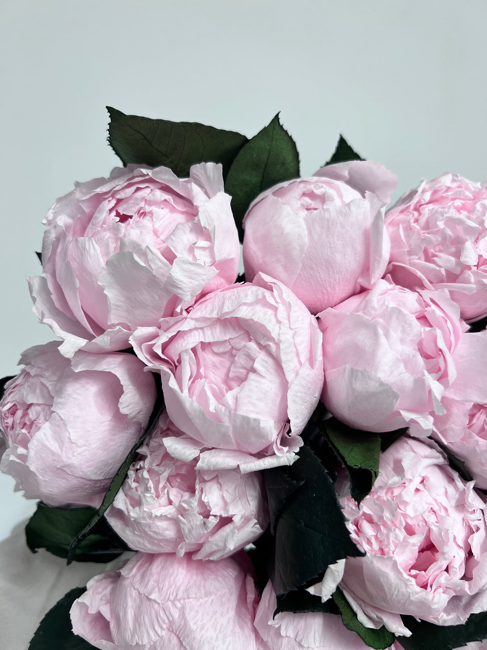 Zoomed product image