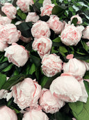 The Dozen – Preserved Peony Statement