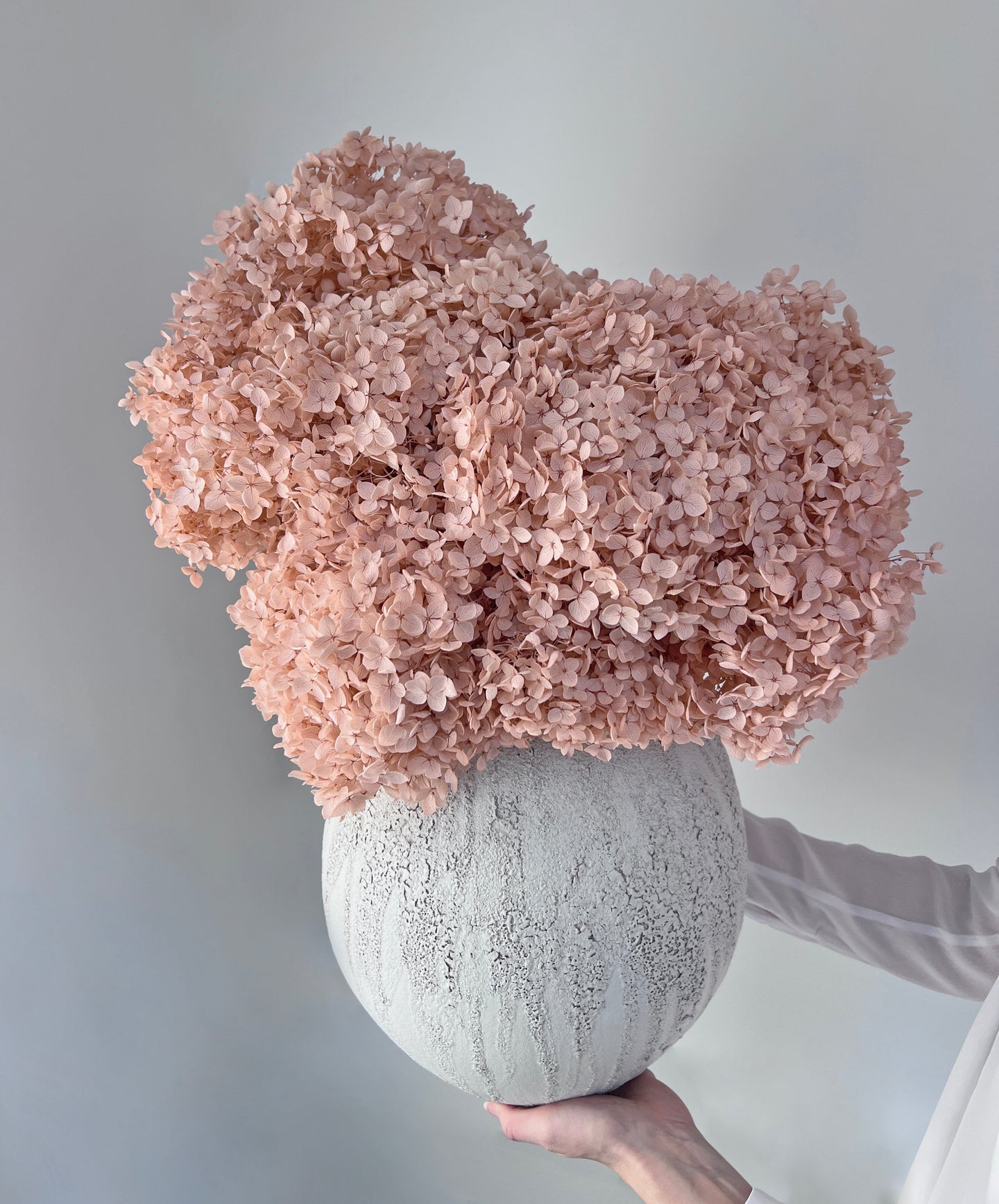 Celeste – Oyster Pink Small Petal Preserved Hydrangea Arrangement in Modern Textured Vase – Luxe