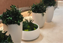 Foliage planters