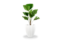 Alicante Fluted Round Planter with plants